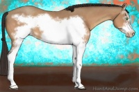 Horse Color:White Spotted Amber Champagne Frame Varnish 