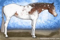 Horse Color:White Spotted Silver Brown Snowcap 