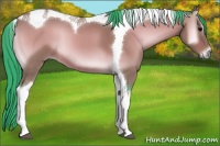 Horse Color:Watercolor Bay Onyx Tobiano 
