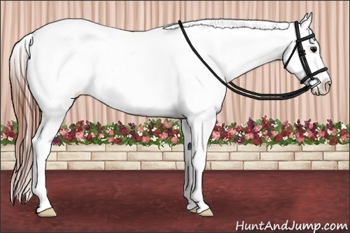 Horse Color:White Spotted Grullo Snowcap Rabicano  Brindle
