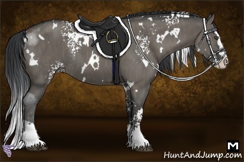 Horse Color:White Spotted Grullo Splash Rabicano Brindle