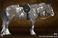 Horse Color:White Spotted Grullo Splash Rabicano  Brindle
