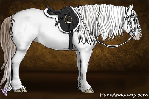 Horse Color:White Spotted Grullo Pearl Rabicano Brindle