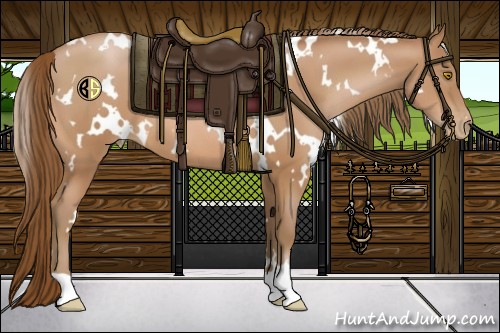 Horse Color:White Spotted Brown Pearl 