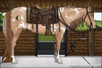 Horse Color:White Spotted Brown Pearl