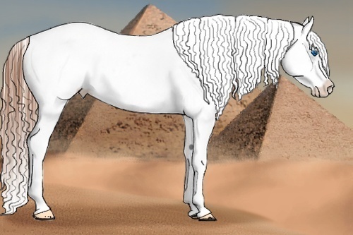 Horse Color:White Spotted Black Splash Tobiano Frame Near Leopard 