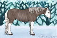 Horse Color:Silver Black Splash Rabicano