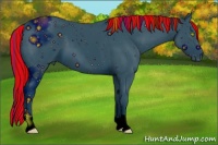 Horse Color:ERROR: UNKNOWN ANOMALY
