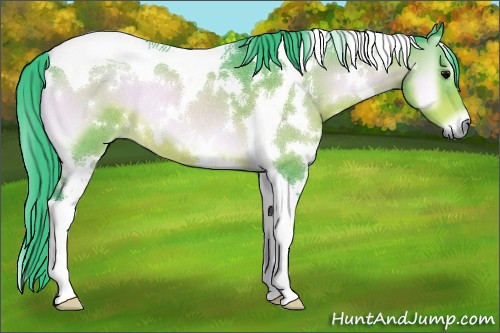 Horse Color:Watercolor White Spotted Brown Onyx Tobiano Rabicano