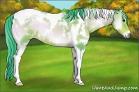 Horse Color:Watercolor White Spotted Brown Onyx Tobiano Rabicano 