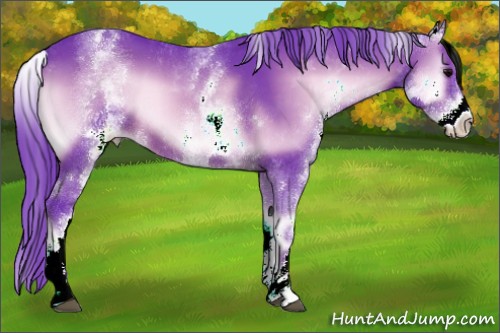 Horse Color:Watercolor White Spotted Brown Onyx 