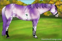 Horse Color:Watercolor White Spotted Brown Onyx 