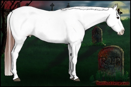 Horse Color:White Spotted Grullo Snowcap Rabicano Brindle