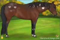 Horse Color:Brown 