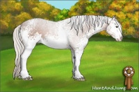 Horse Color:White Spotted Silver Brown Sabino