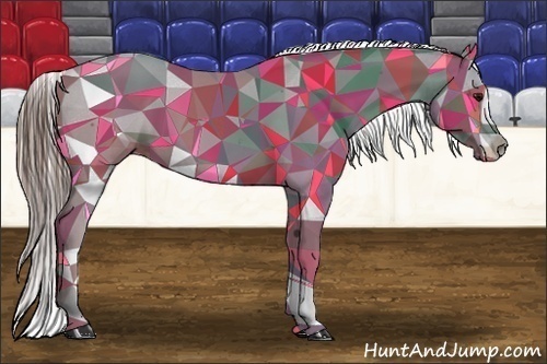 Horse Color:White Spotted Grullo Appaloosa Rabicano Brindle