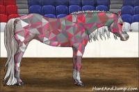 Horse Color:White Spotted Grullo Appaloosa Rabicano Brindle