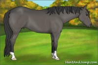 Horse Color:Smoky Grullo 