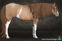 Horse Color:White Spotted Brown Pearl 