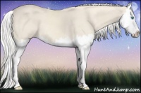 Horse Color:Cremello Sabino Splash 