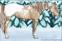Horse Color:White Spotted Liver Chestnut Pearl Snowcap