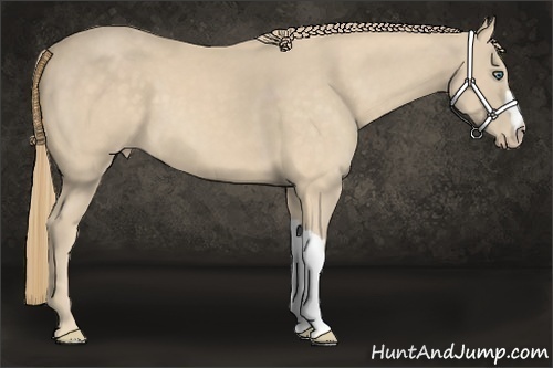 Horse Color:Perlino 