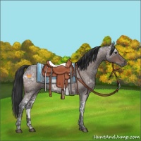 Horse Color:Bay Ice Roan