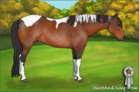 Horse Color:Bay Sabino Tobiano Rabicano 