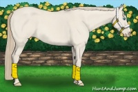Horse Color:Smoky Creme Roan Dun 