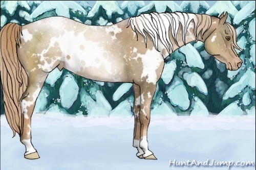 Horse Color:White Spotted Liver Chestnut Pearl Snowcap 