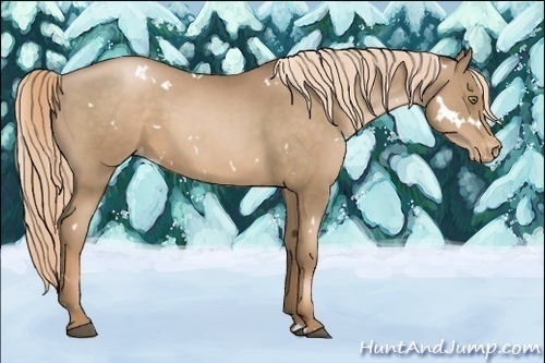 Horse Color:White Spotted Liver Chestnut Pearl Varnish