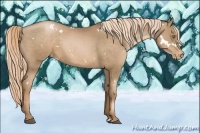 Horse Color:White Spotted Liver Chestnut Pearl Varnish 