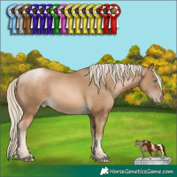 Horse Color:Chocolate Palomino Pearl