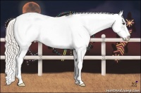 Horse Color:Silver Black Sabino 