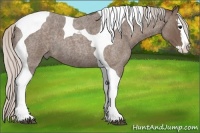 Horse Color:Silver Blue Roan Splash Tobiano