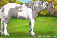 Horse Color:Silver Blue Roan Tobiano