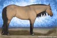 Horse Color:Buckskin Roan Dun