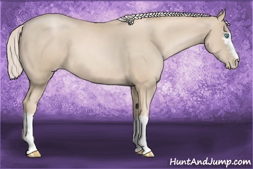 Horse Color:White Spotted Palomino Pearl 