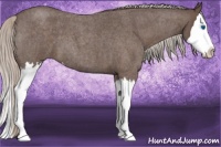 Horse Color:Silver Blue Roan Splash