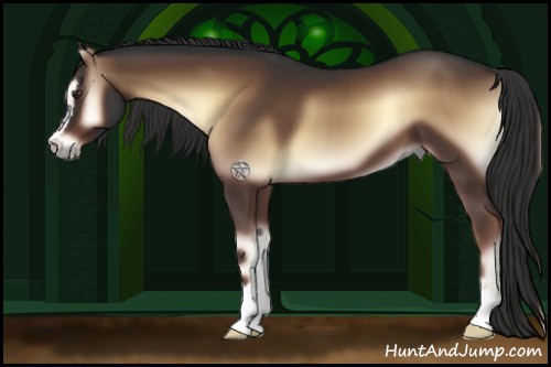 Horse Color:Liver Red Onyx Sabino