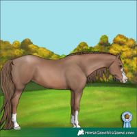 Horse Color:Black Pearl