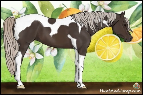 Horse Color:Silver Brown Tobiano 