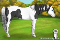 Horse Color:Black Splash Tobiano