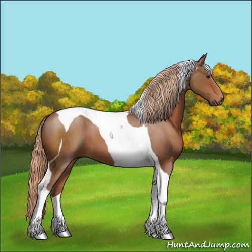 Horse Color:Chestnut Tobiano 