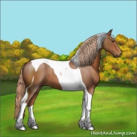Horse Color:Chestnut Tobiano 