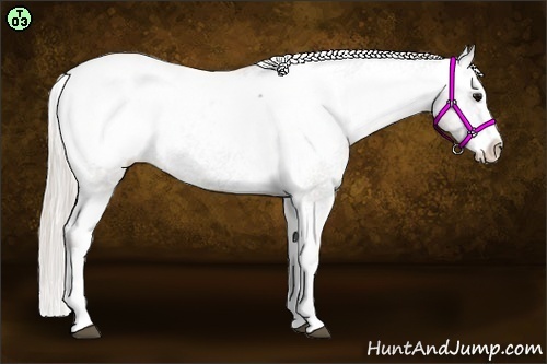 Horse Color:Silver Black Splash Snowcap