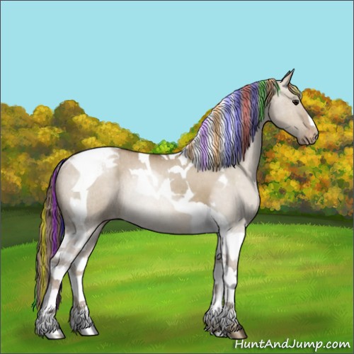 Horse Color:Painted Grullo Pearl Tobiano Appaloosa Rabicano