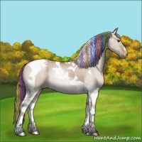 Horse Color:Painted Grullo Pearl Tobiano Varnish Rabicano 