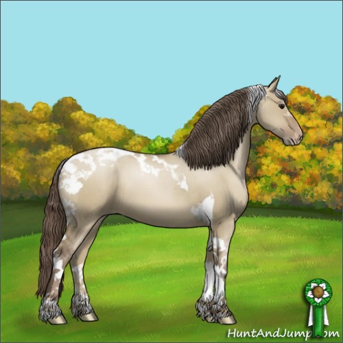Horse Color:Grullo Pearl Sabino Tobiano