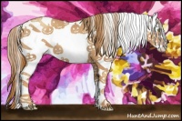 Horse Color:White Spotted Gold Champagne 